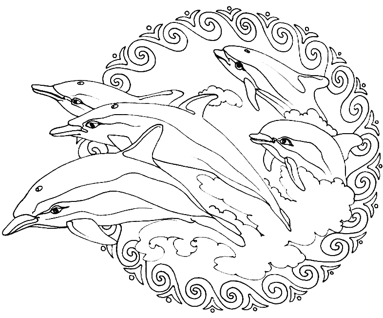 Ces jolis dauphins synchronisés n'attendent qu'à être coloriés dans ce joli Mandala très original, à vous de jouer.