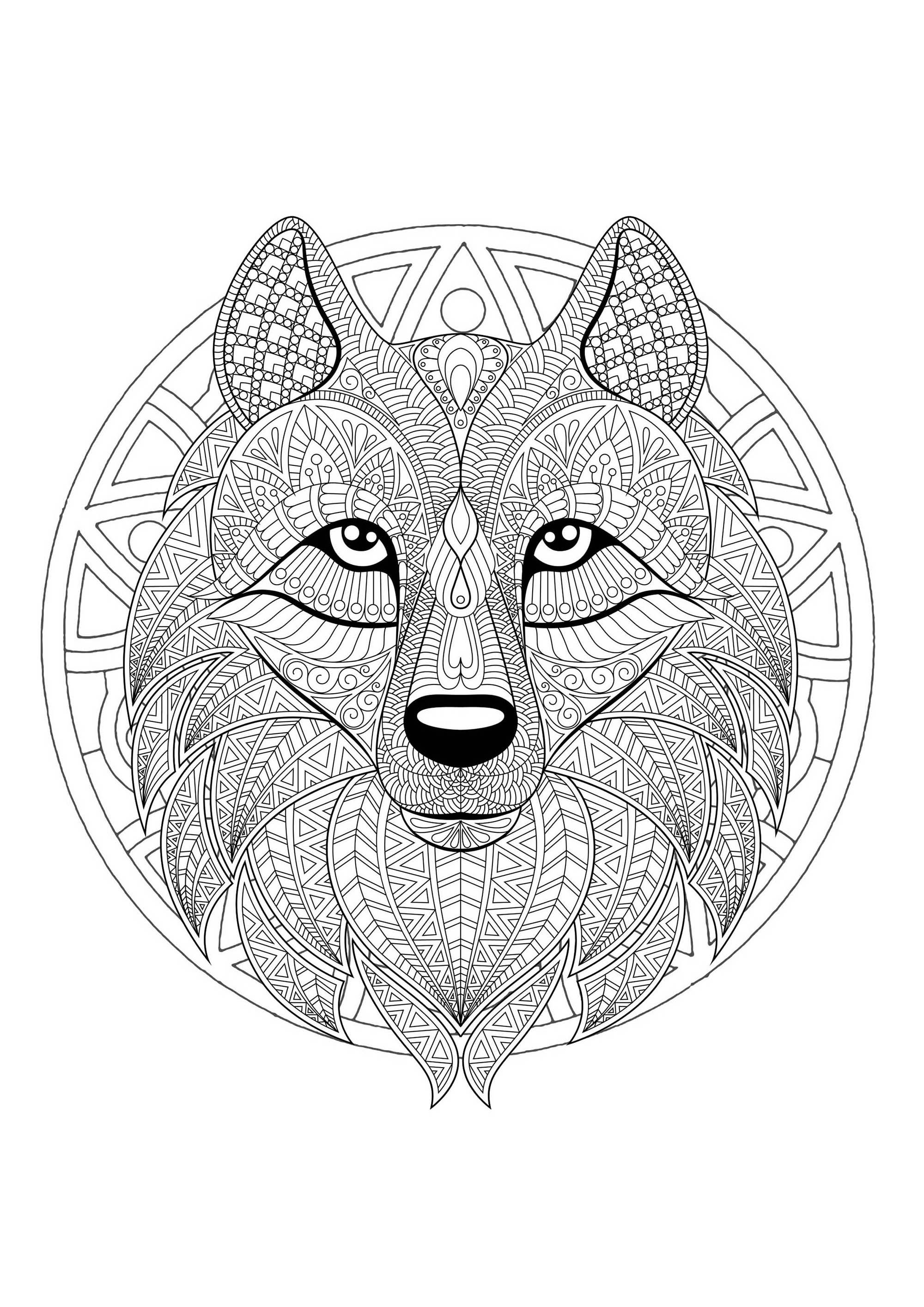 Un Mandala mettant en scène un joli loup, pour ceux qui préfèrent mettre en couleur des éléments concrets et vivants.