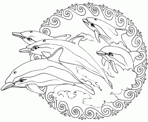 Mandala dauphins sautant hors de l'eau