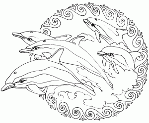 Mandala dauphins sautant hors de l