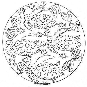 Mandala poissons et coquillages