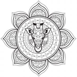 Mandala Girafe