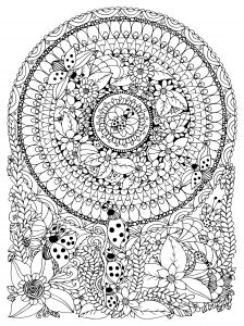 Mandala insectes et fleurs