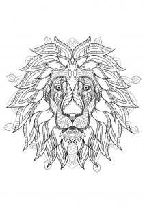 Mandala tête de lion   2