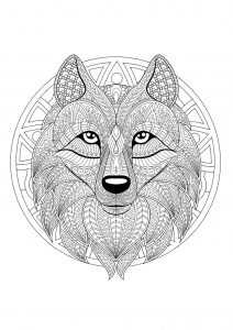 Mandala tête de loup   2