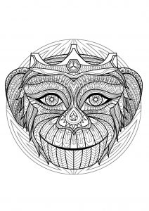 Mandala tête de singe - 2