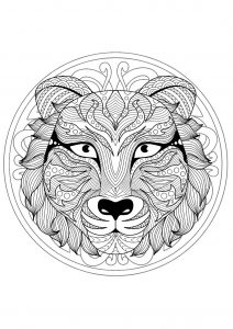 Mandala tête de tigre - 1
