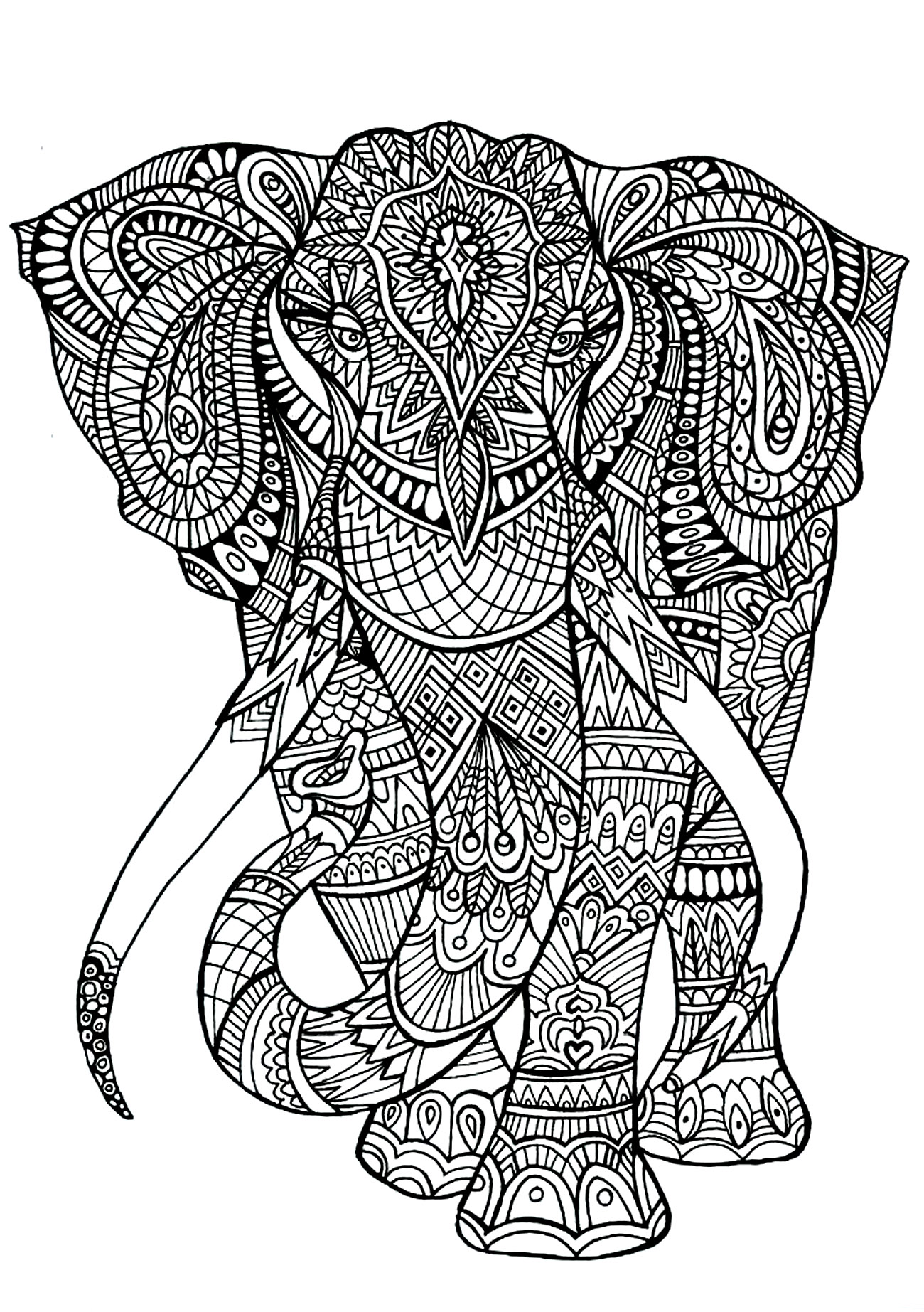 image=animaux coloriage elephant 1