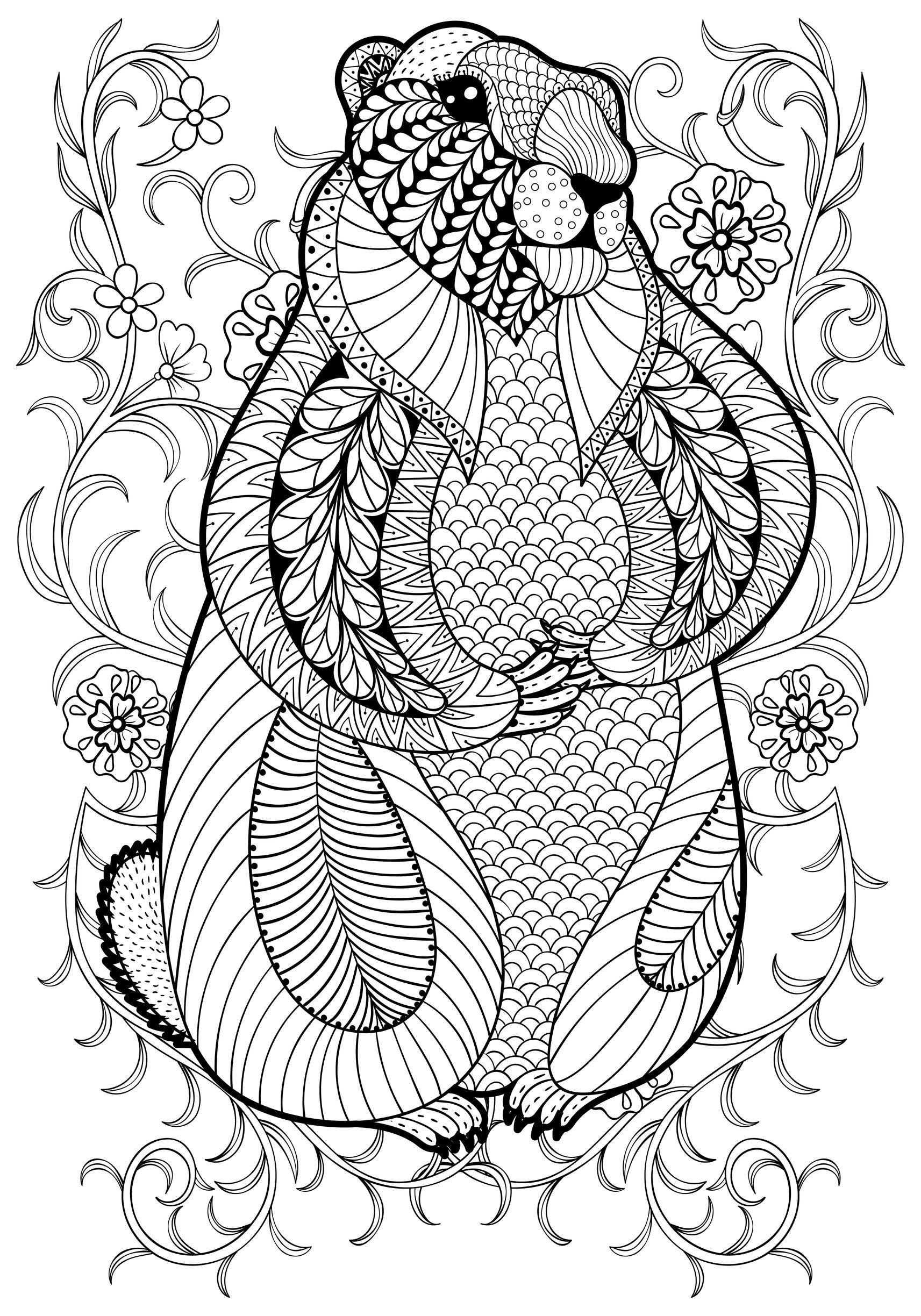 image=animaux coloriage marmotte 1