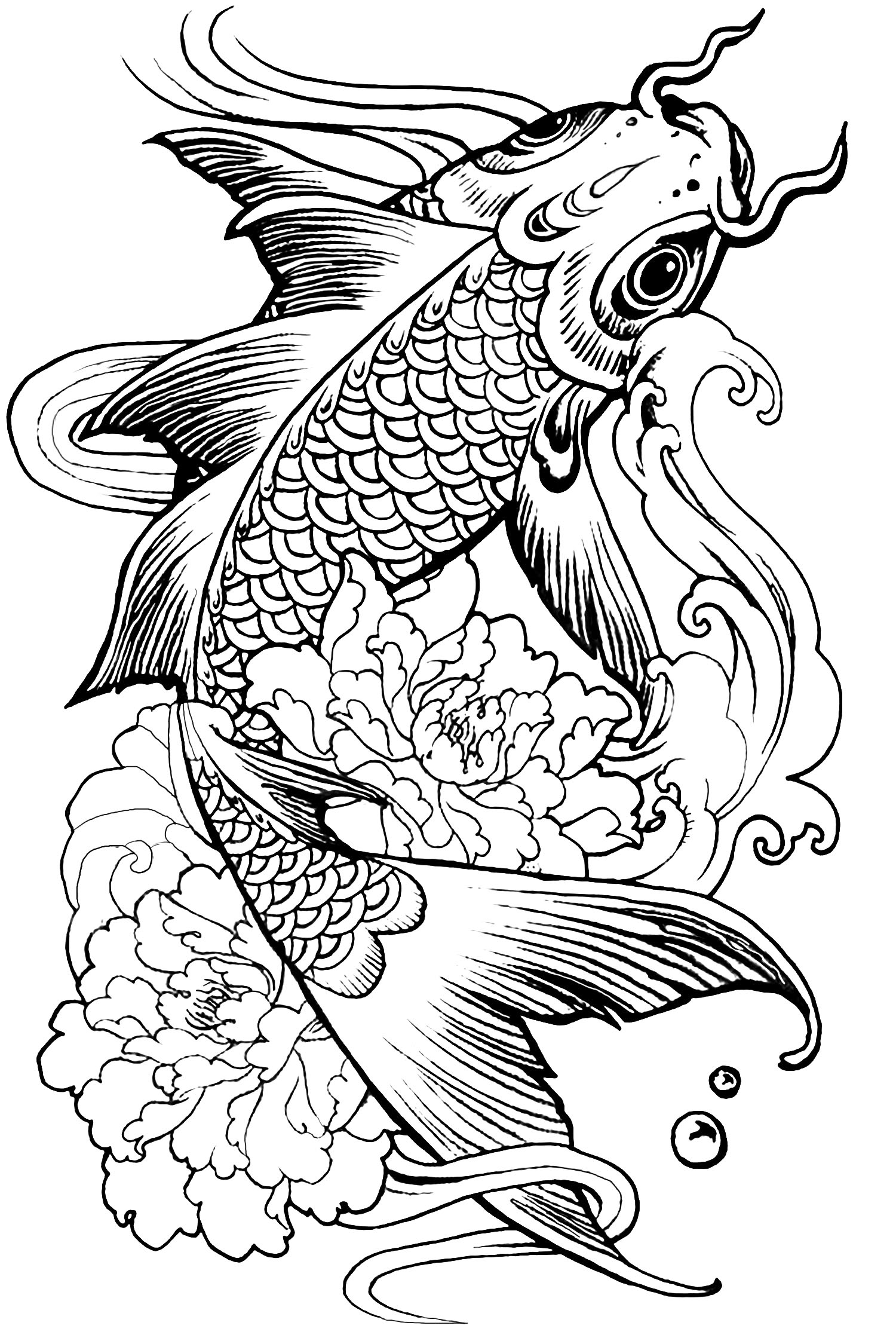 de coloriages Coloriages d Animaux poisson carpe Imprimer