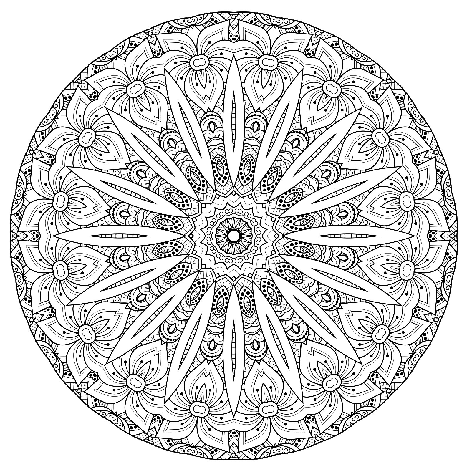 De jolies fleurs, des motifs harmonieux, variés et créatifs ... Ce Mandala plaira aux plus férus de coloriage Anti-stress, et le résultat final sera sans doute très joyeux et color !