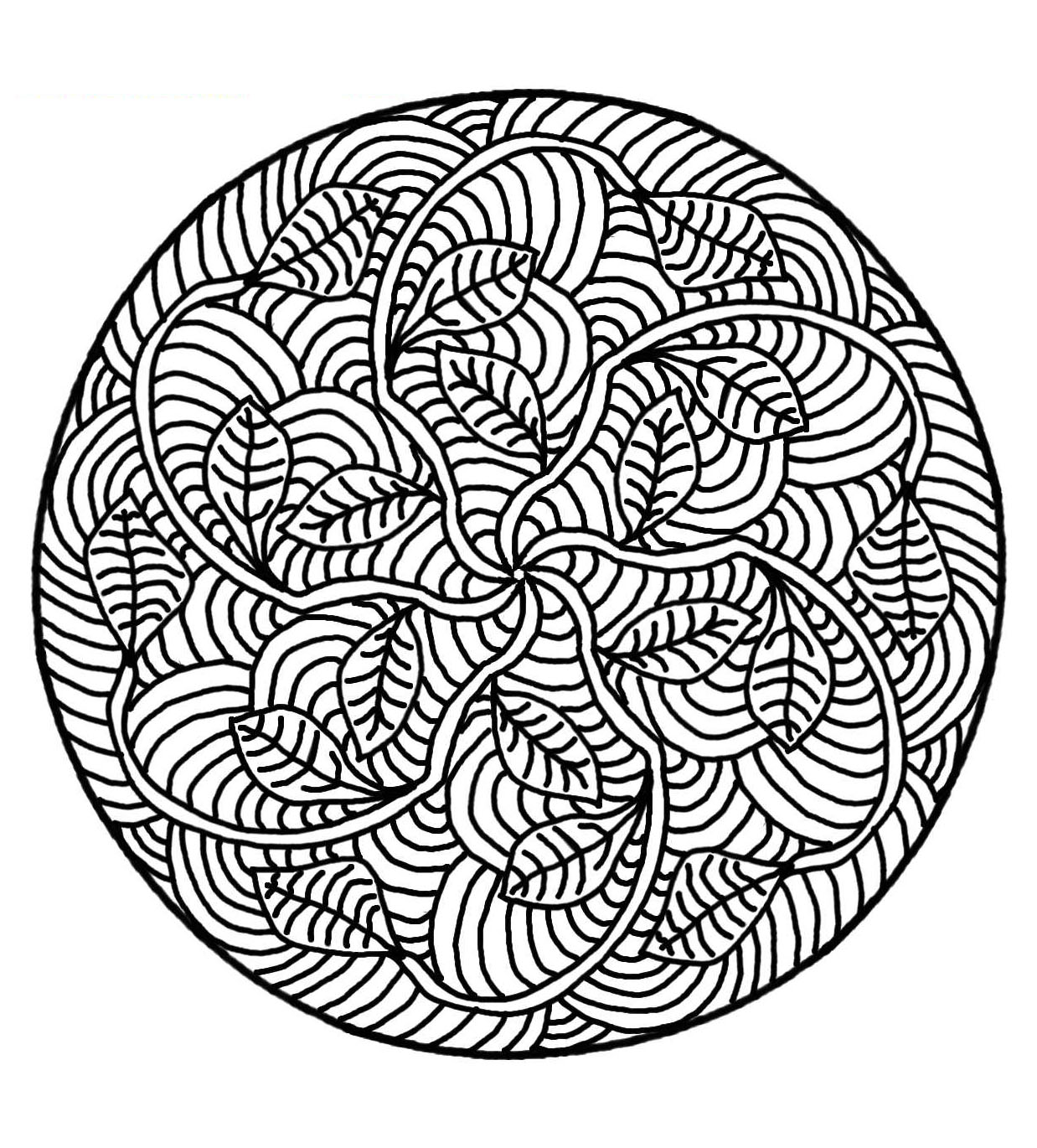 Magnifique mandala avec une succession de feuille donnant une magnifique fleur en vue d ensemble