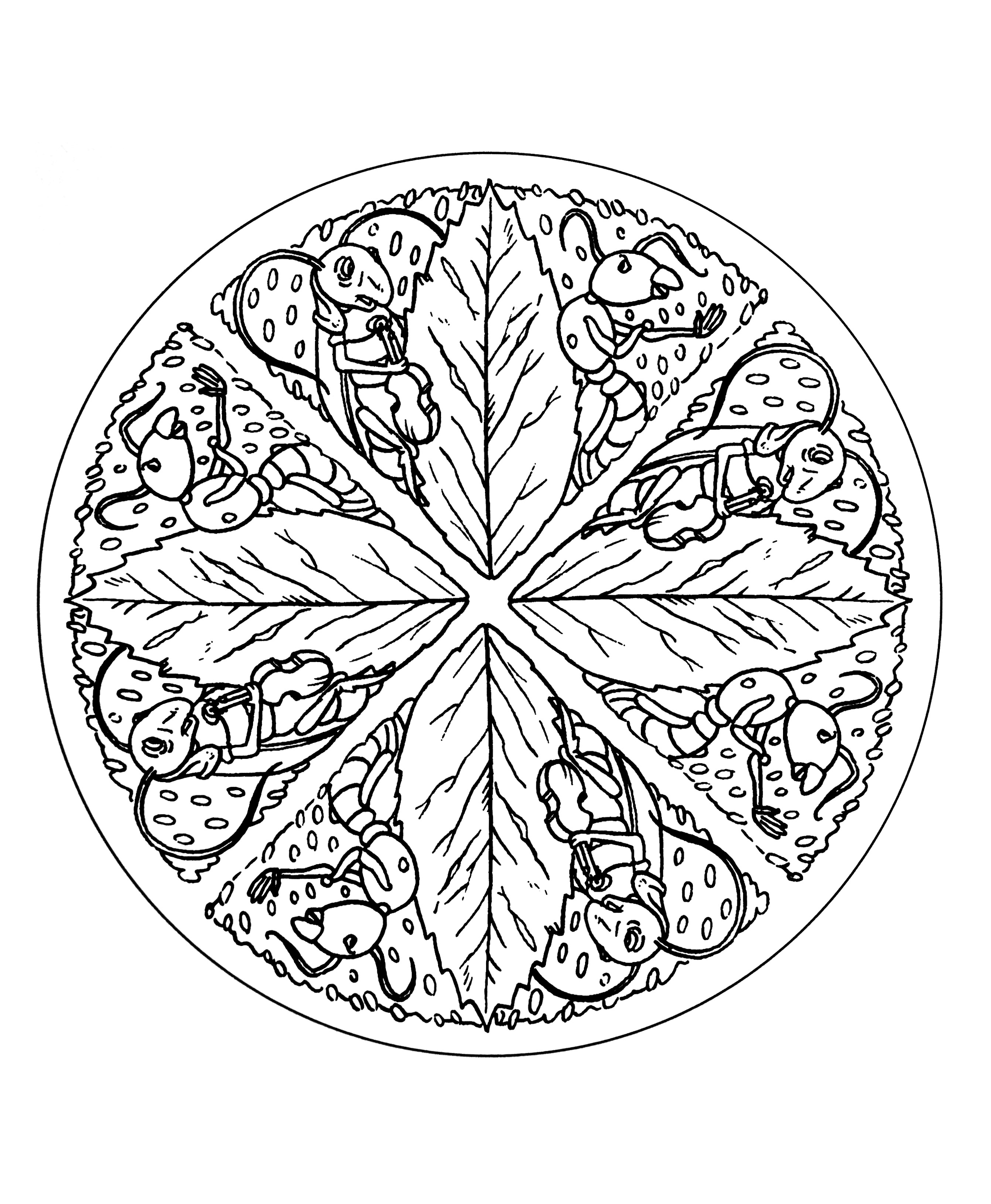 colorier adulte difficile 31 Tr¨s original mandala et symétrique représentant plusieurs fourmis ainsi que différentes feuilles constituant une jolie