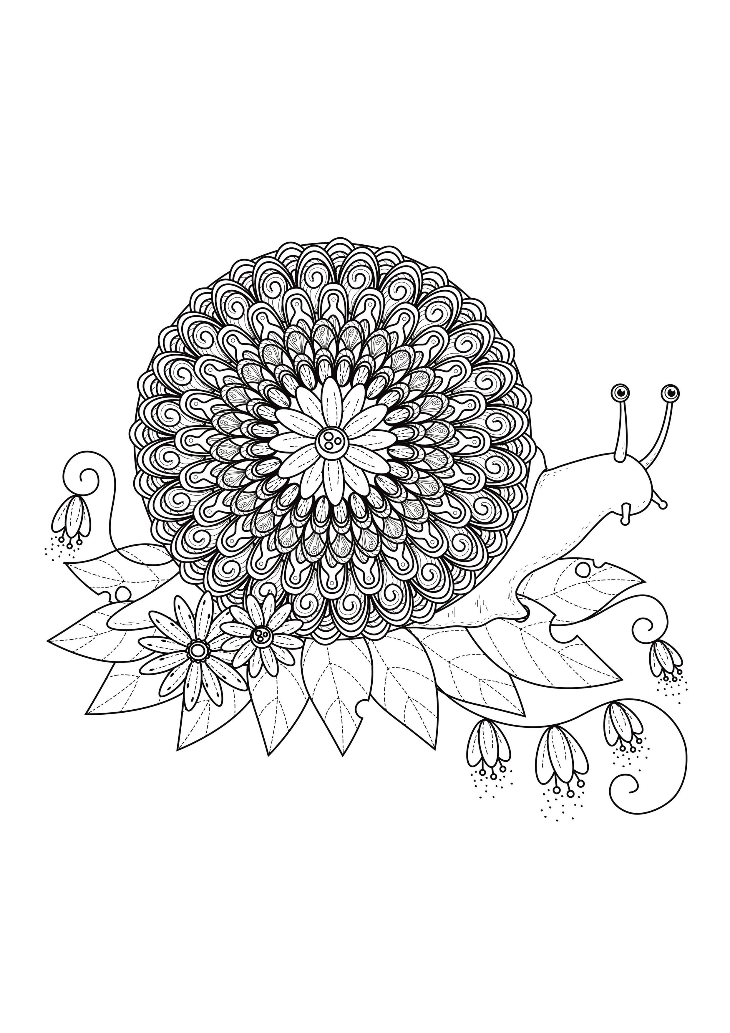 Préparez vos feutres et crayons pour réaliser la mise en couleur de ce Mandala 'escargot' plein de petits détails et zones intriquées.