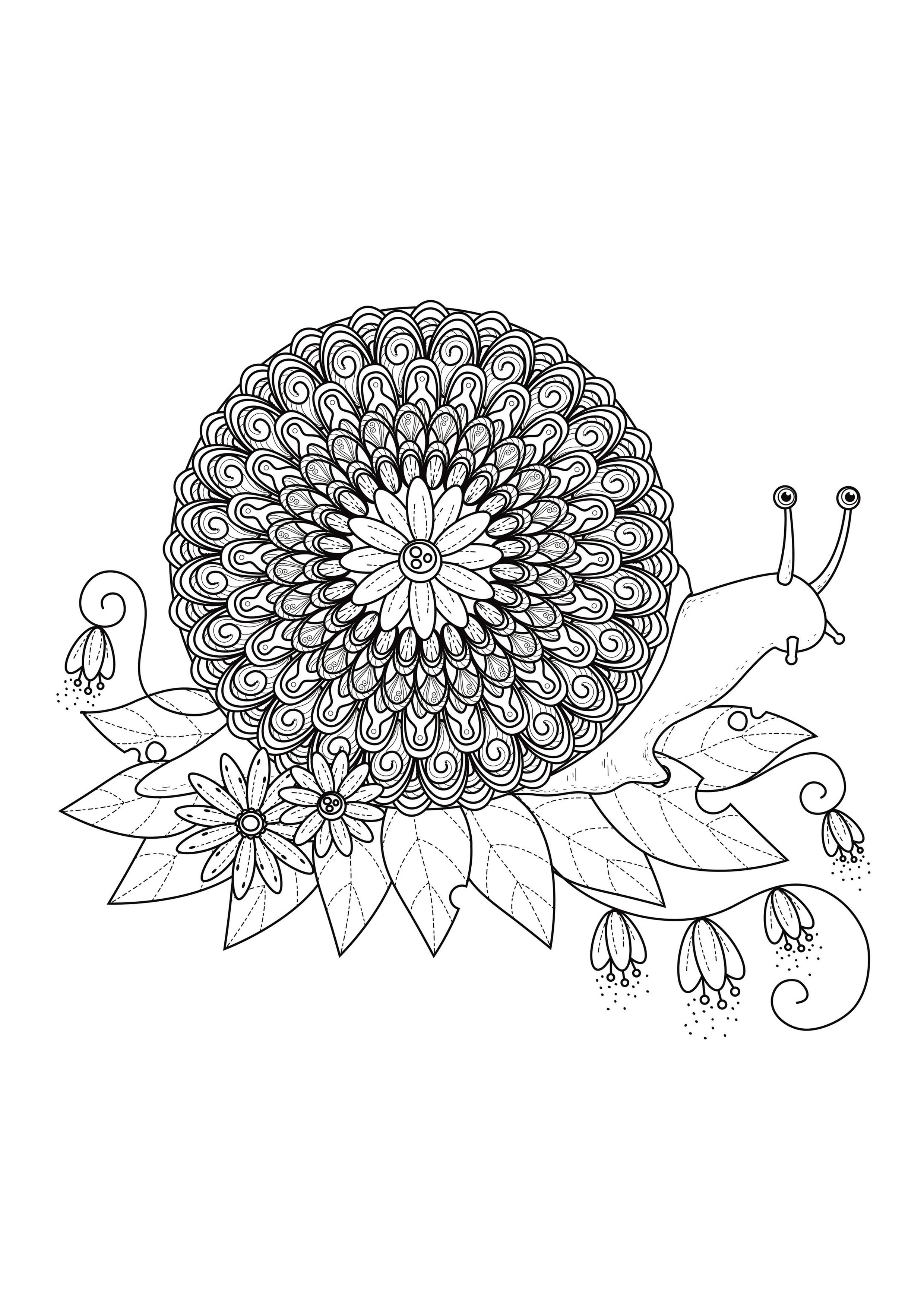mandala a colorier escargot