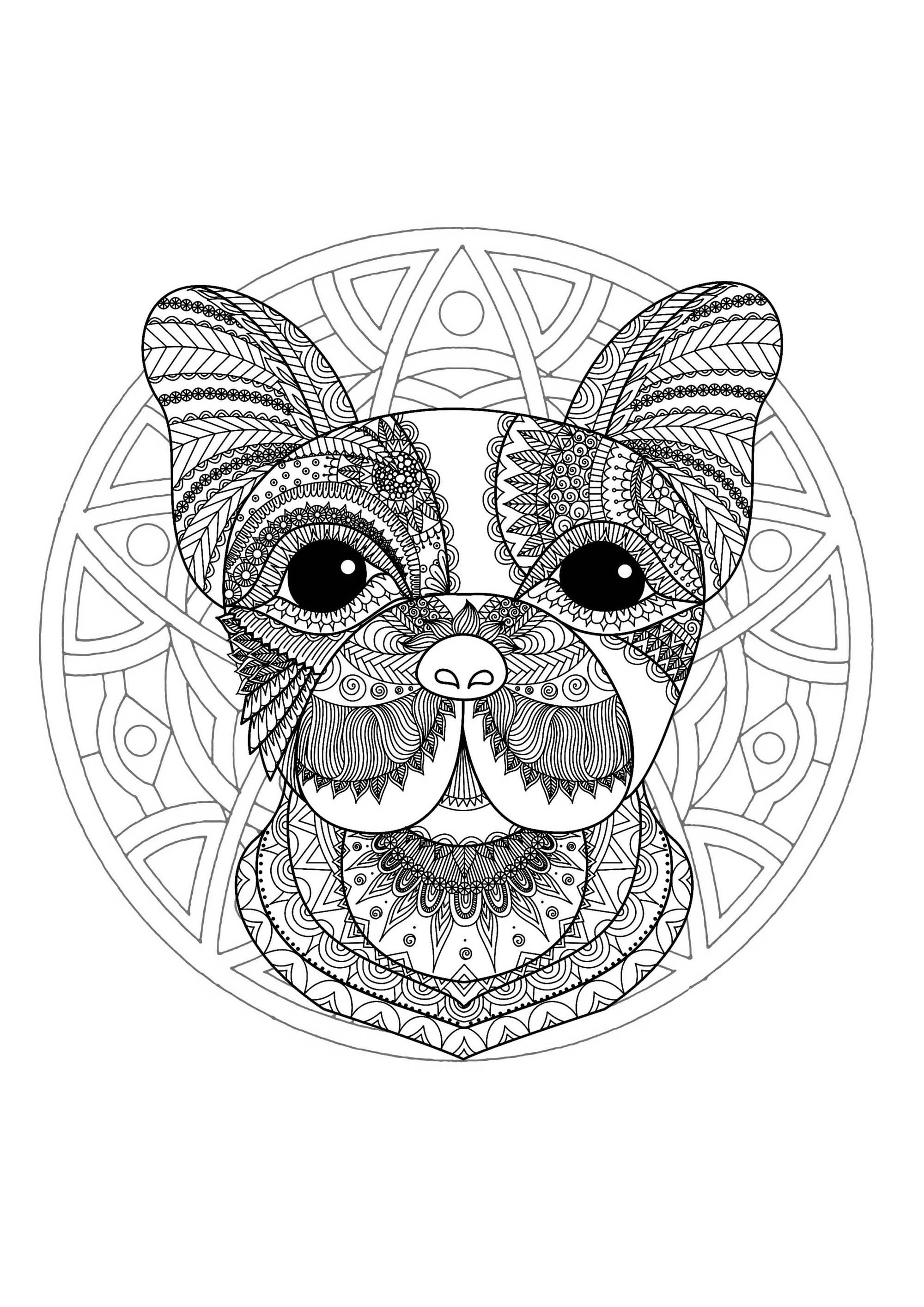 Mandala & tête de chien. Un Mandala assez difficile à colorier, parfait si vous aimez mettre en couleur de petites zones, et si vous aimez les détails variés.