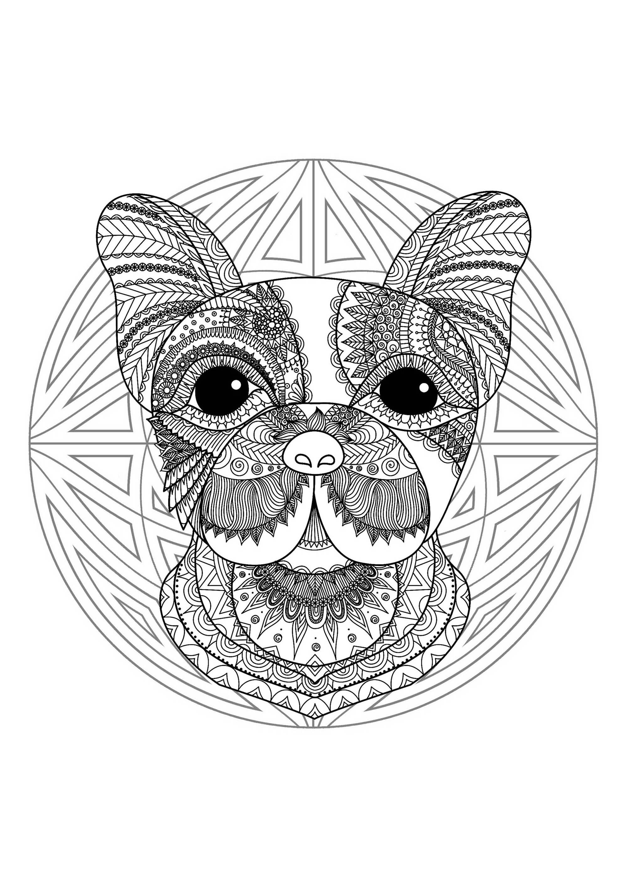 Mandala & tête de chien. Préparez vos feutres et crayons pour réaliser la mise en couleur de ce Mandala plein de petits détails et zones intriquées.