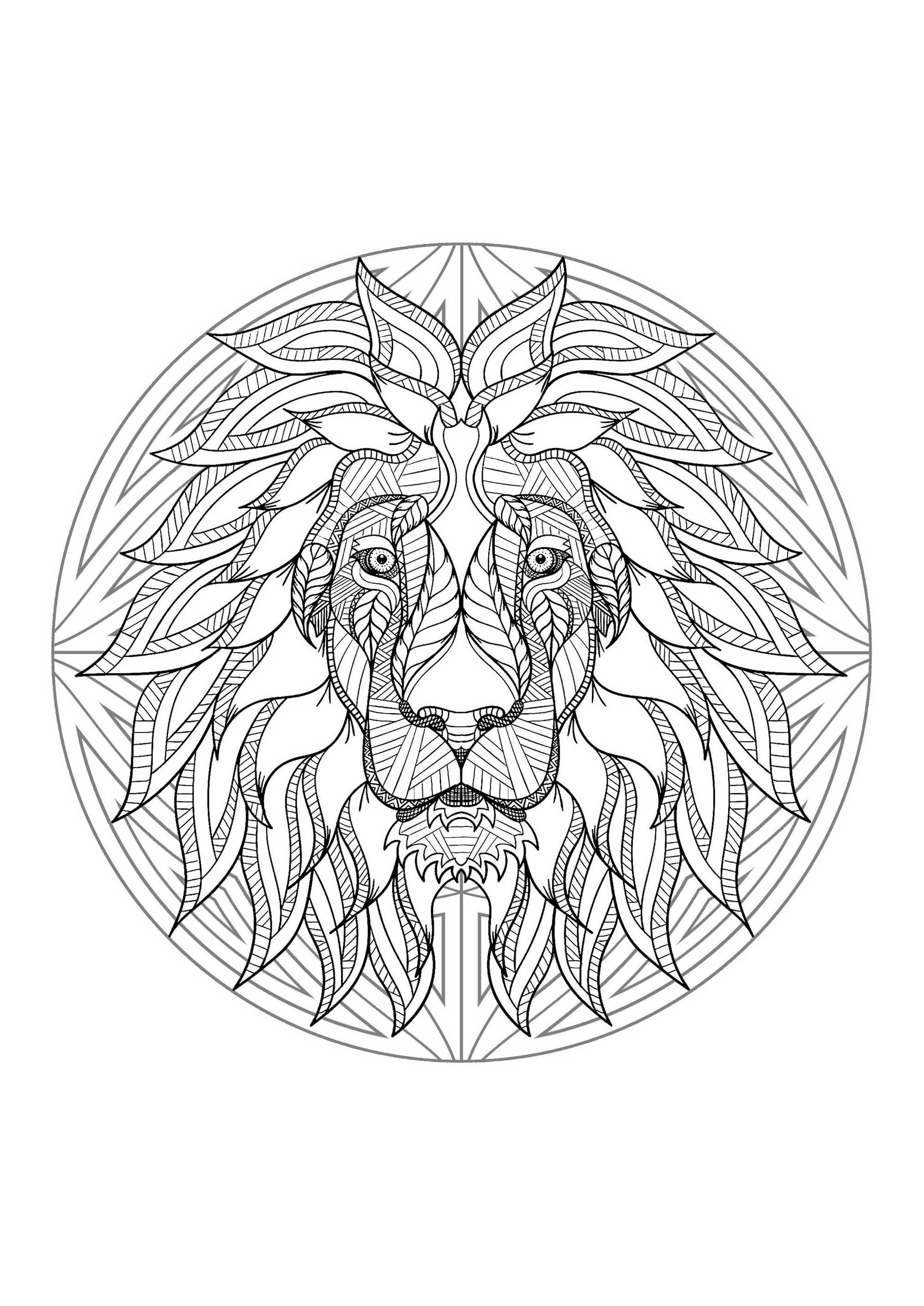 Mandala & tête de lion. Préparez vos feutres et crayons pour réaliser la mise en couleur de ce Mandala plein de petits détails et zones intriquées.