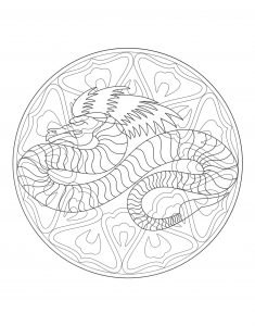 Mandala dragon chinois complexe
