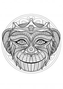 Mandala tête de singe - 1