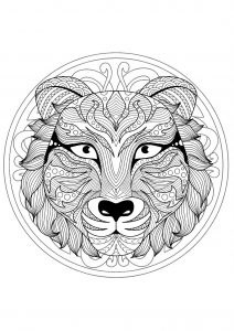 Feuille de coloriage Mandala tête de loup pour adultes Coloriage