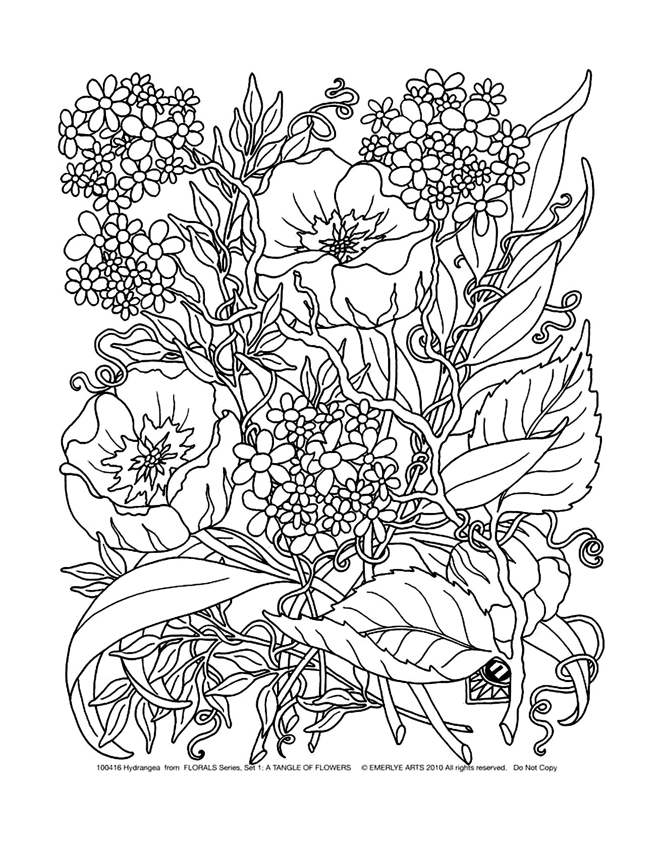 Fleurs et ve ation 5 Coloriages de Fleurs et motifs image=fleurs et ve ation coloriage fleurs et ve ation 5 1