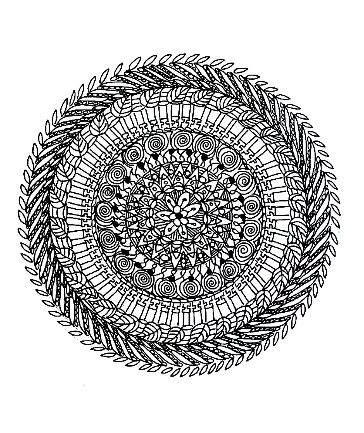 Superbe mandala complexe naturel (Mandalas sur le thème des Fleurs et végétation)