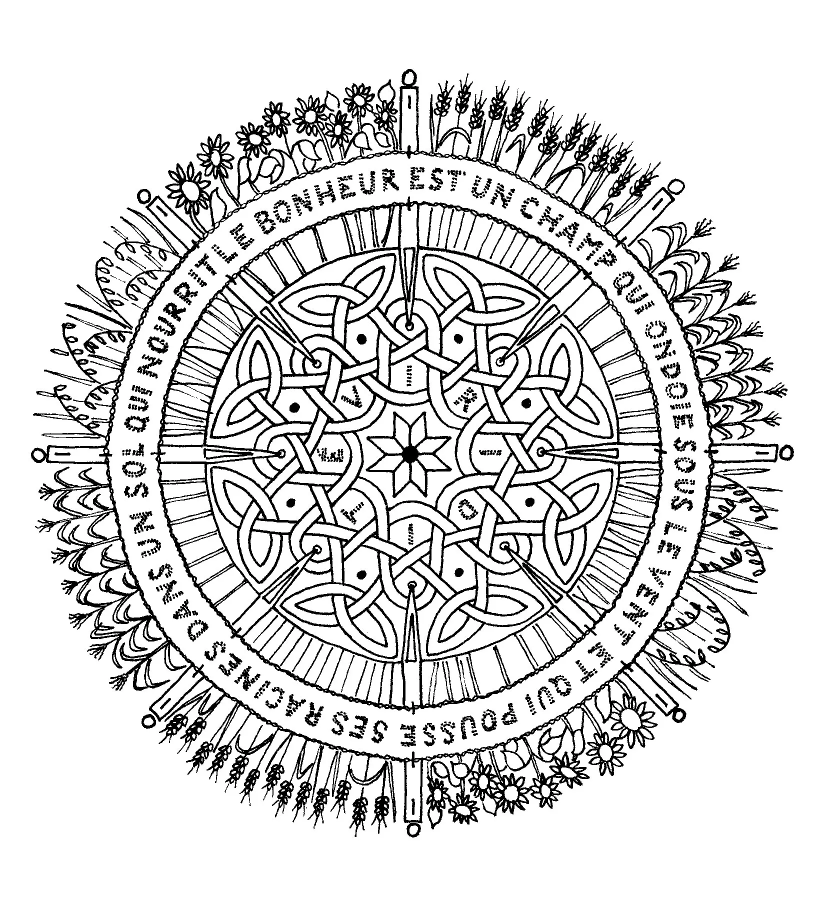 Mandala à colorier avec fleurs et feuilles (Mandalas sur le thème des Fleurs et végétation)