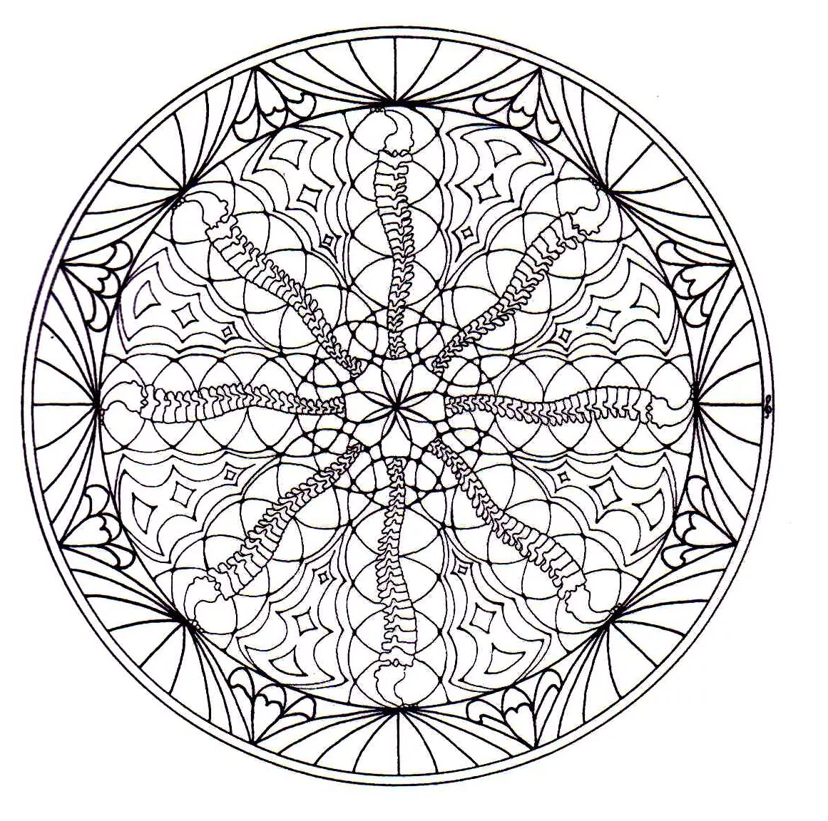 Harmonie et végétation (Mandalas sur le thème des Fleurs et végétation)