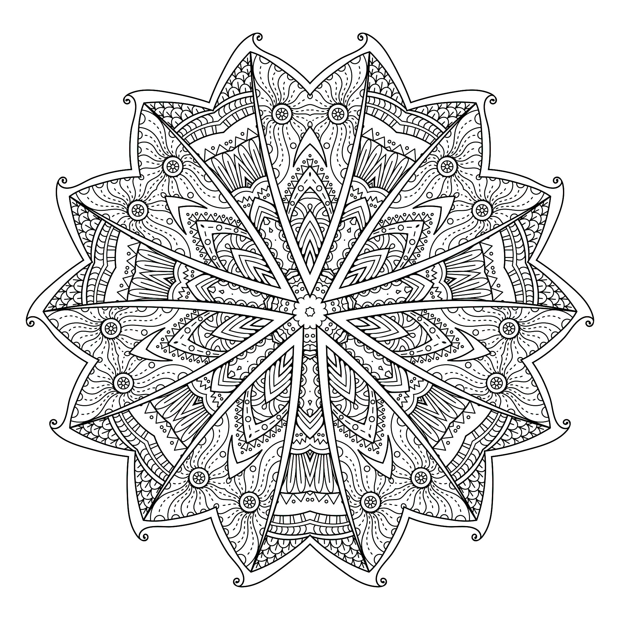 Les éléments végétaux se marient souvent très bien avec les Mandalas, c'est le cas avec ce coloriage d'une grande originalité composé de 14 cadrans (2 groupes de 7), similaires à des ailes de papillons.