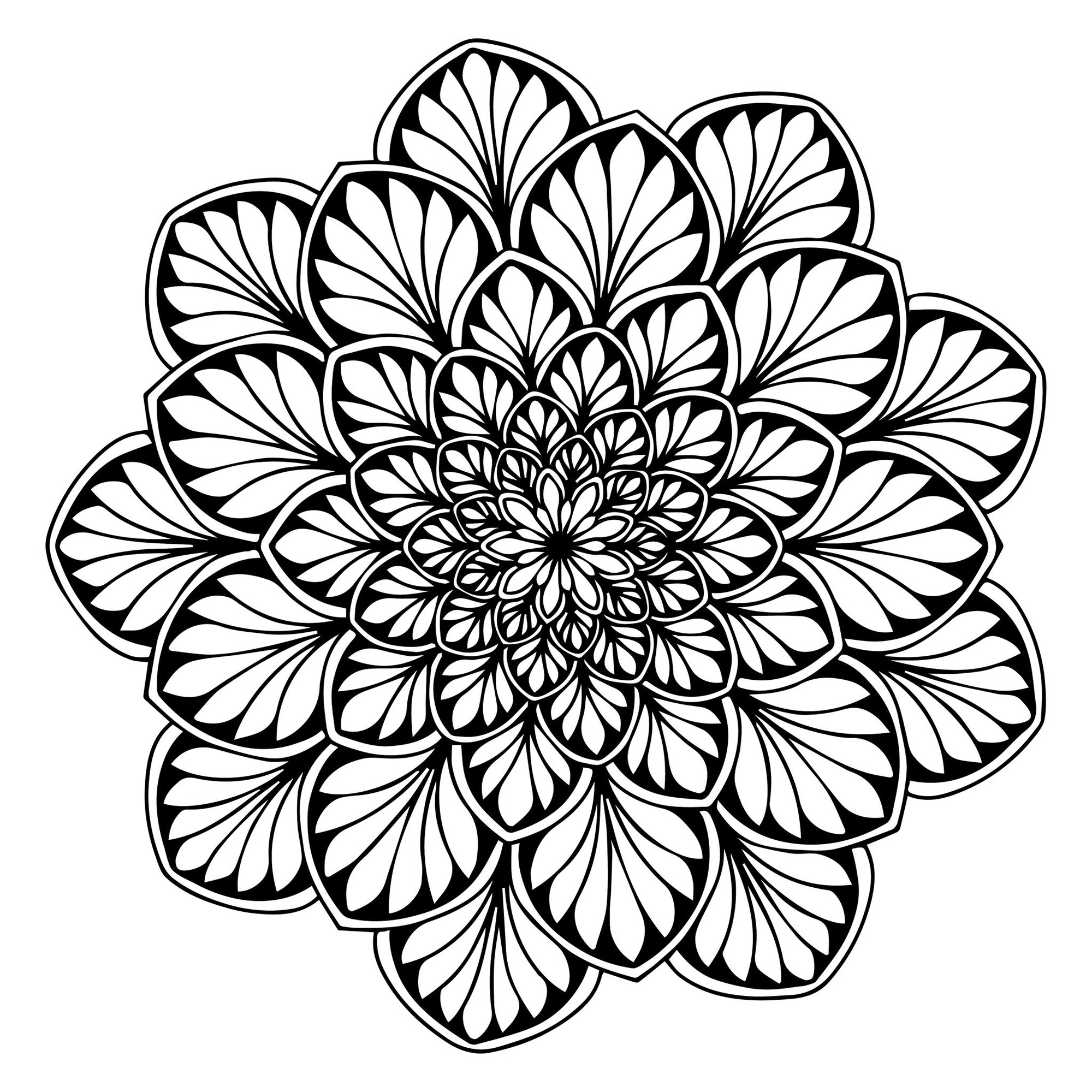 Mandala végétal et harmonieux - Mandalas sur le thème des Fleurs et