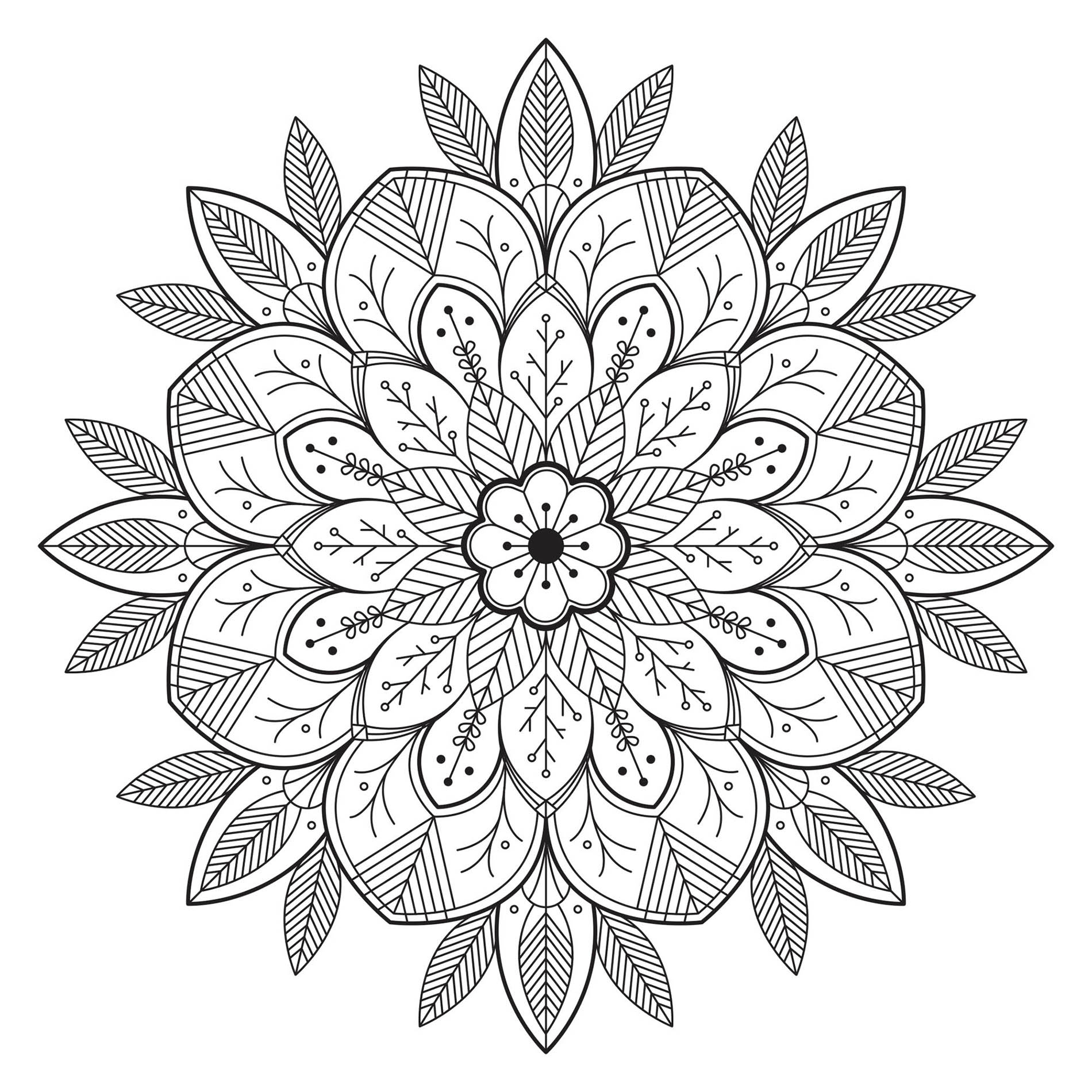 Mandala avec Fleurs et Feuilles très réalistes. Intégrez-y les couleurs que vous préférez ! C'est un des préférés des membres du site d'après nos compteurs !!