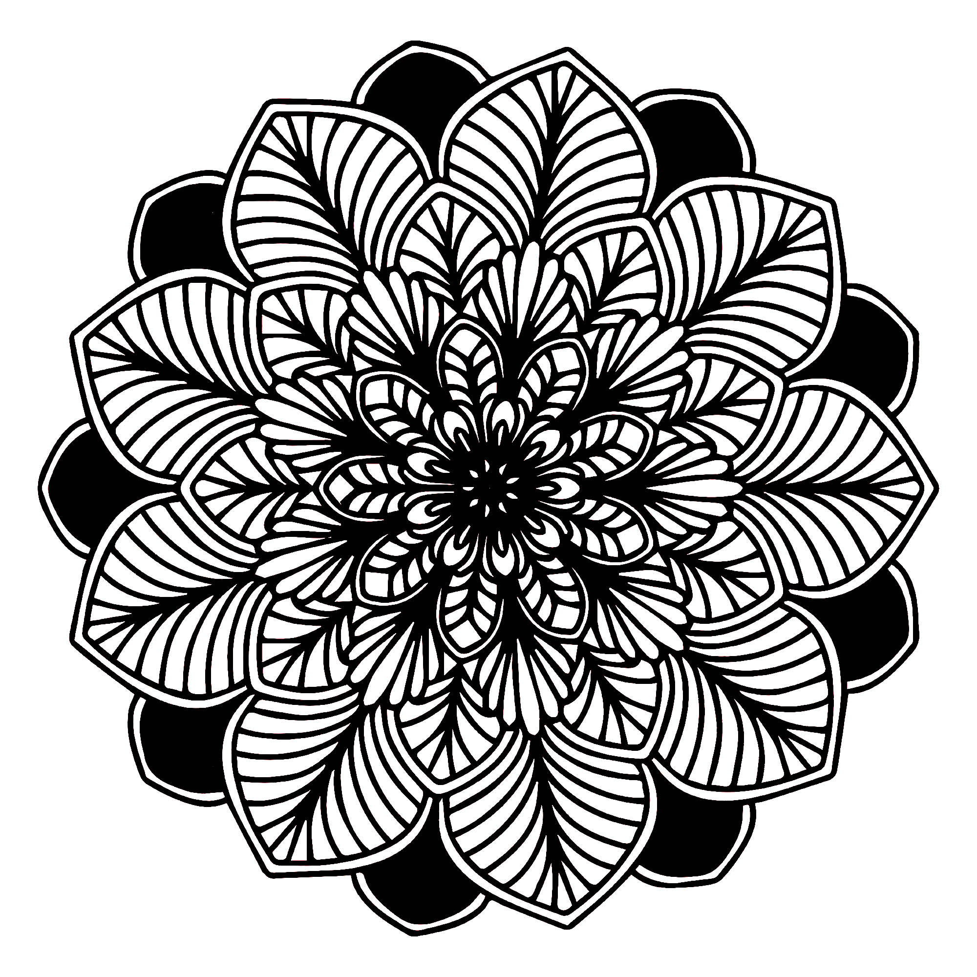 Mandala Feuilles Noir Blanc Mandalas Sur Le Thème Des