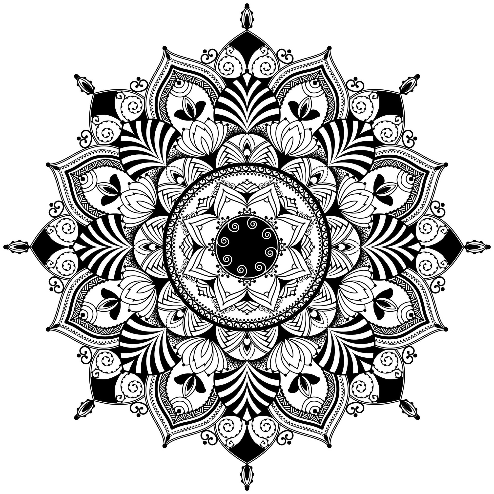 Une végétation luxuriante envahit ce magnifique Mandala, donnez-lui vie sans plus tarder. Attention il est assez complexe !