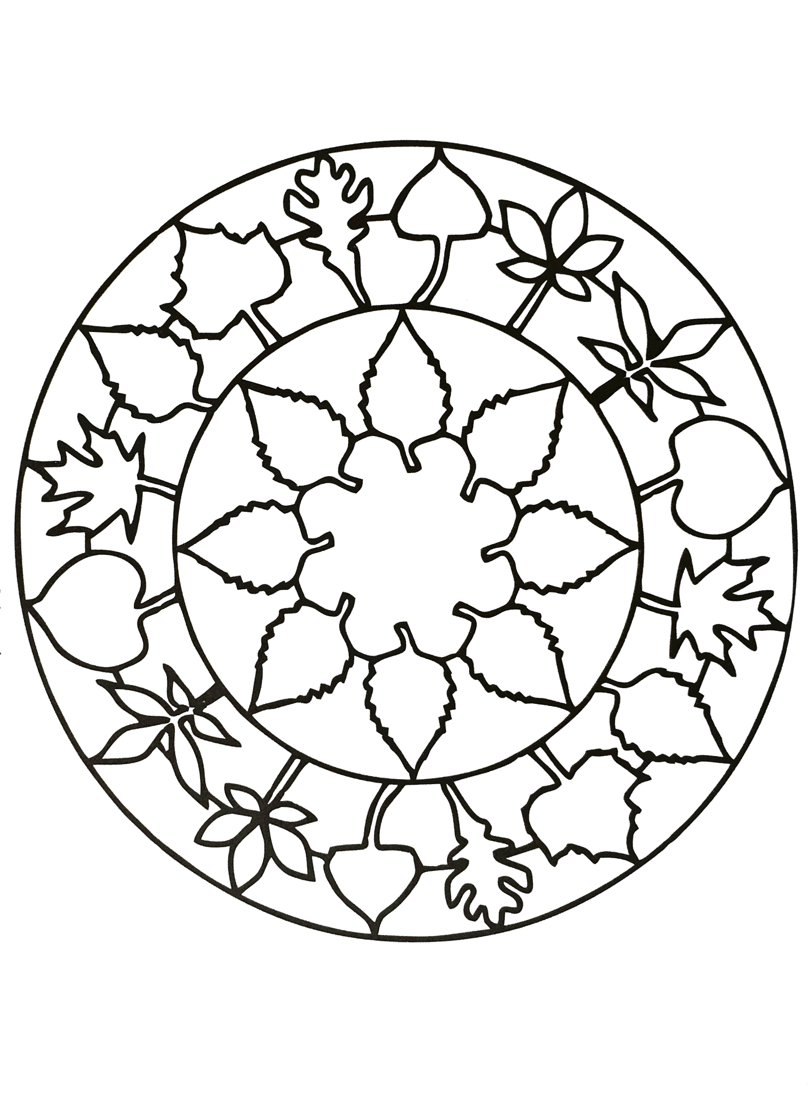 Les éléments naturels se marient souvent très bien avec les Mandalas, c'est le cas avec ce coloriage original et simple à la fois.