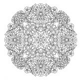 Mandala fleurs aux grandes pétales