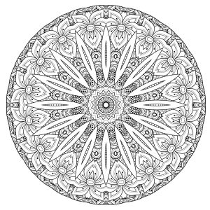 Mandala de haute qualité