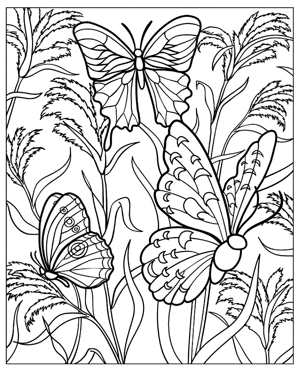 Coloriages d Insectes papillons plantes Imprimer