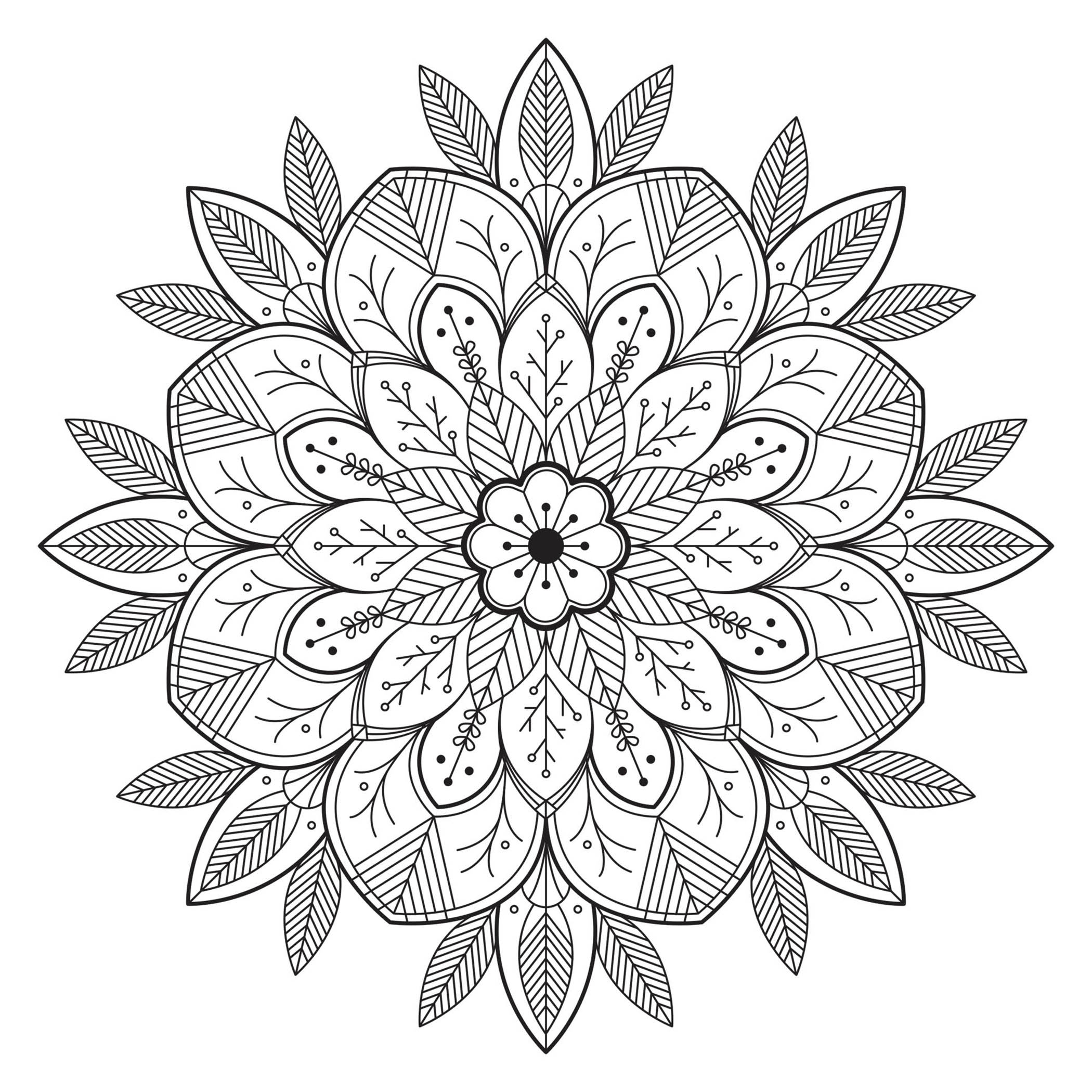 Mandalas de difficulté normale : Fleur et feuilles Mandalas de difficulté normale : Fleur et feuilles