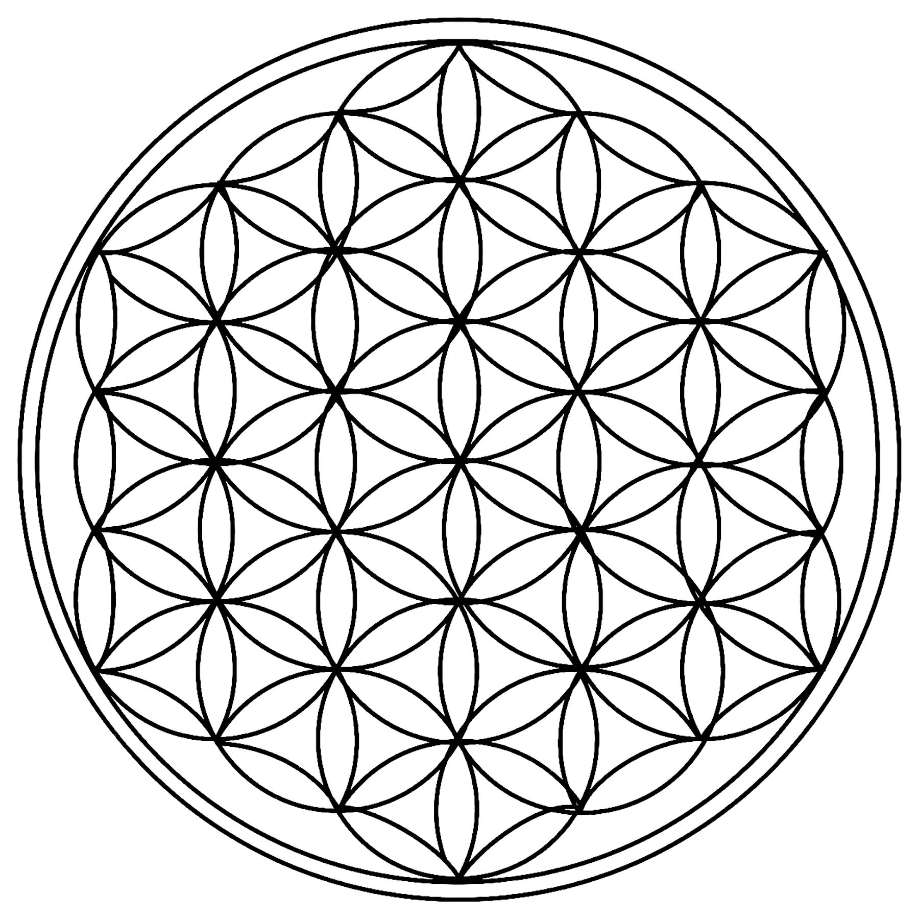 De multiples cercles de taille identique, formant une forme totalement unique