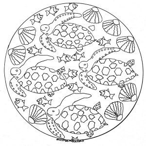 Mandala coquillages, tortues et poissons
