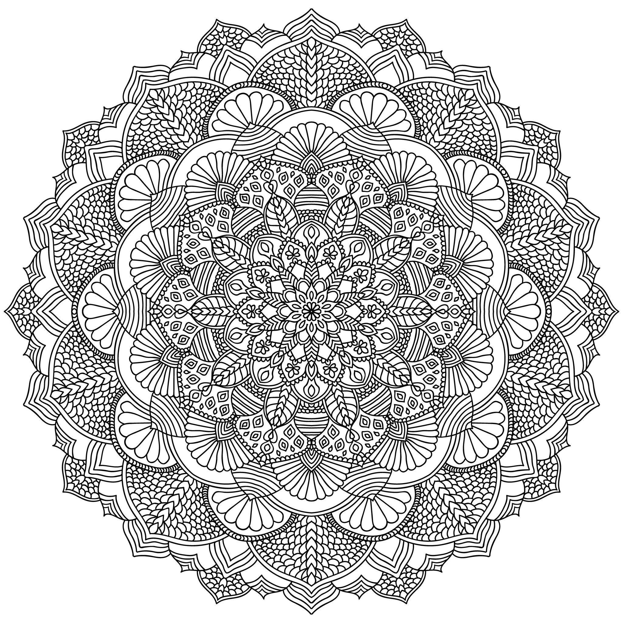 Un Mandala 'feuillu' pour les pros ! Des dizaines et des dizaines de petites zones qui n'attendent que quelques couleurs choisies avec goût.