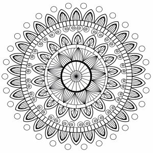 livre de coloriage adultes mandalas anti-stress nature magique : 100 motifs  Mandala magique adulte fleurs et zen relaxant - livre de mandala à colorier  pour soulager le stress - Pensées Positives 