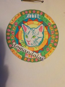 Creation By : domandalas3bis